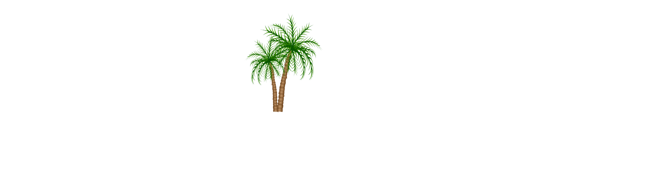 ecoimpactfoundation